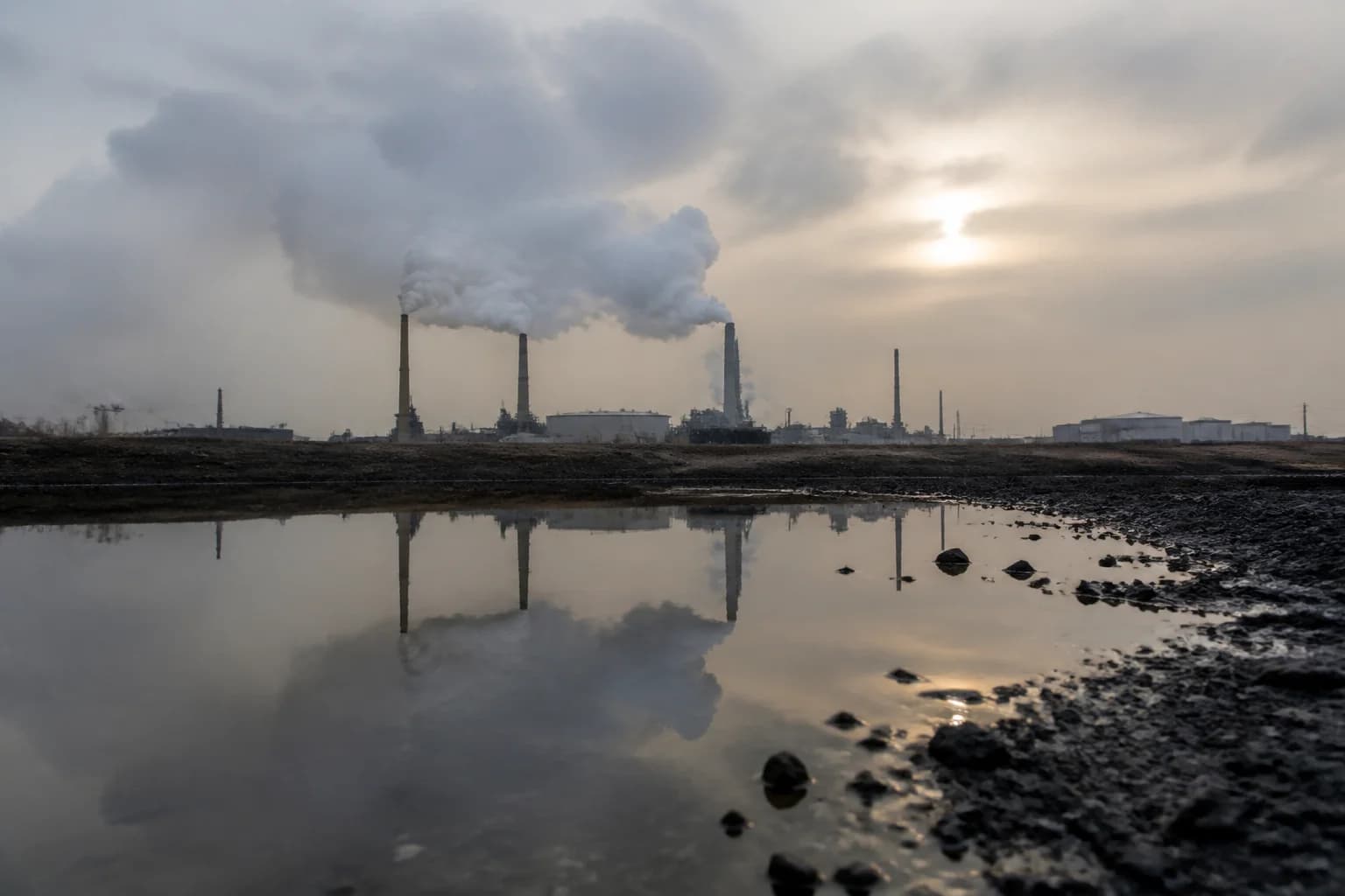 Marché Canadien Du Carbone Et Décarbonisation 2026