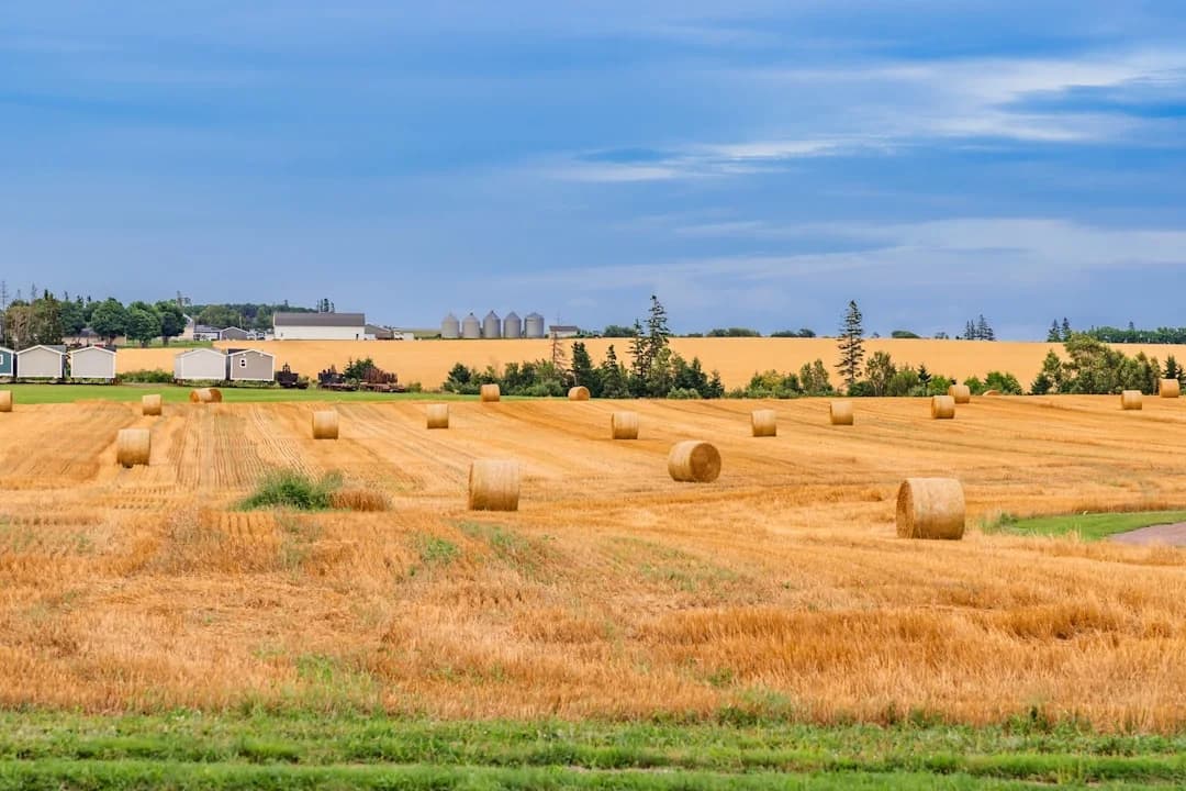 Blockchain Et Traçabilité Agroalimentaire Canada 2026