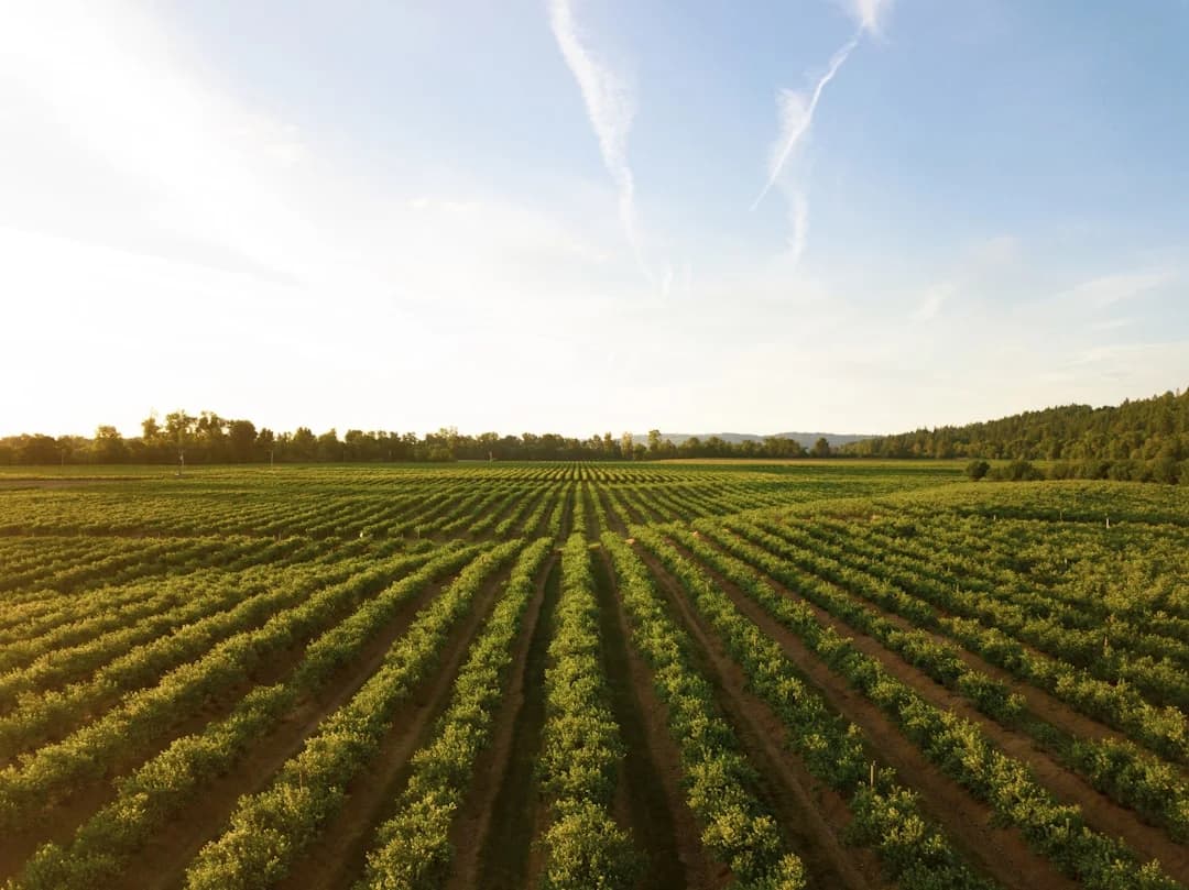 Agtech Et Agriculture Canada 2026: Innovation and Investment